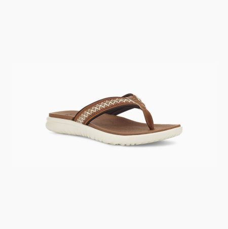 UGG Union Tasman - Flip Flops Herre - Brune (NO-L234)